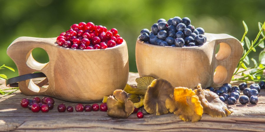 Frutti di bosco: amatissimi dai finlandesi